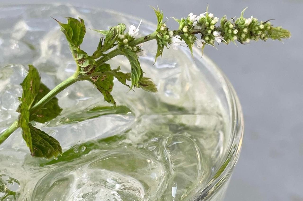 فندق Lucciole Nella Nebbia Stellata المظهر الخارجي الصورة